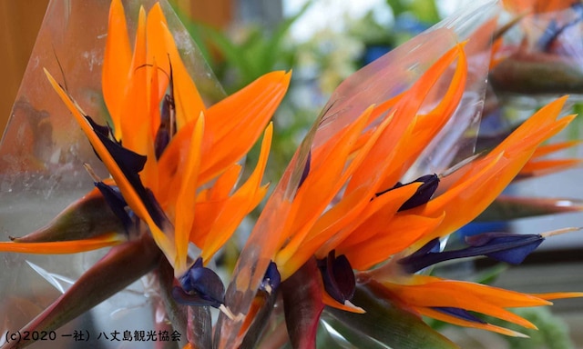 国民宿舎 サンマリーナ