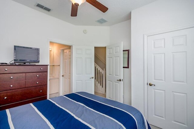 ウィンザー - パームス -2323n