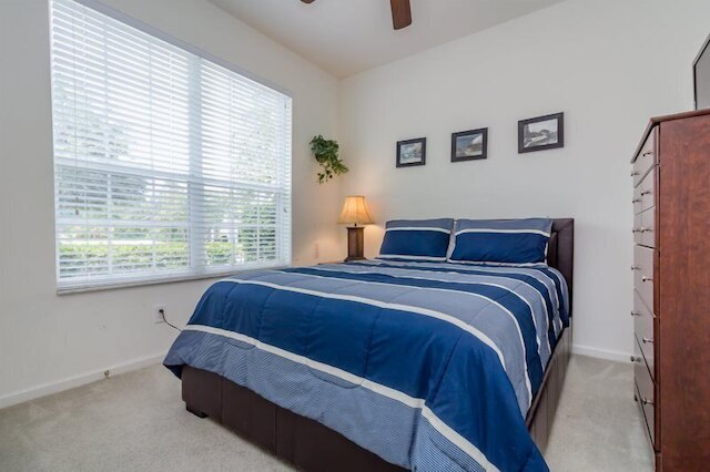 ウィンザー - パームス -2323n