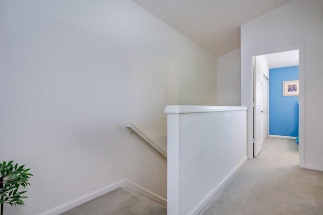 ウィンザー - パームス -2323n