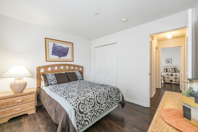 インディアン _ リッジ _ オークス _1644