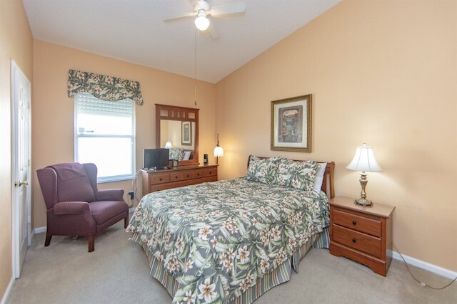 ウィンザー パームス 8144