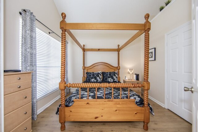 ウィンザー _ パームス _ 8169n