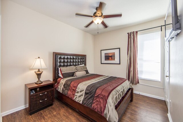 ウィンザー _ パームス _ 8169n