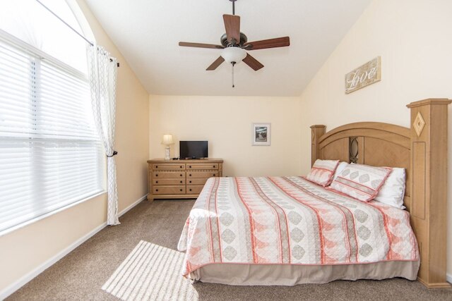 ウィンザー _ パームス _ 8169n