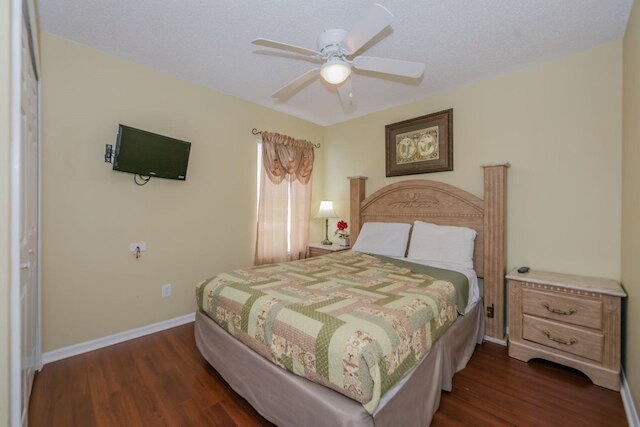 エメラルド _ アイランド _ 8640