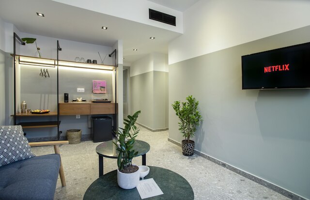 パム パラディソ