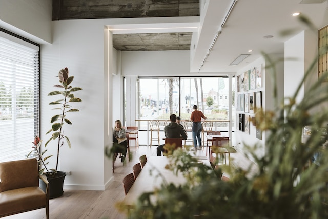 ザ ミューズ クライストチャーチ、アート ホテル