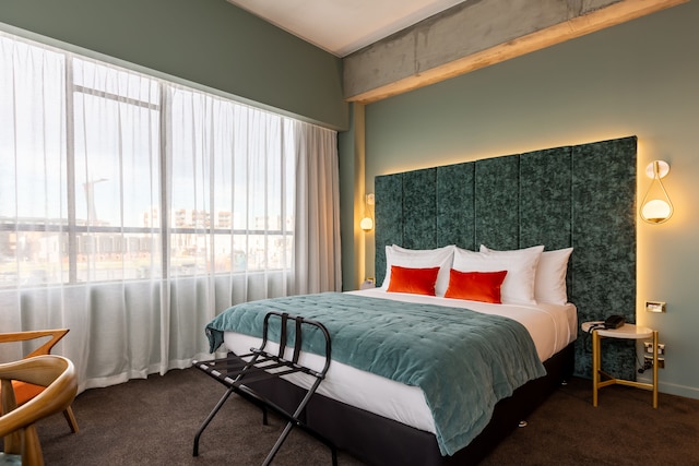 ザ ミューズ クライストチャーチ、アート ホテル