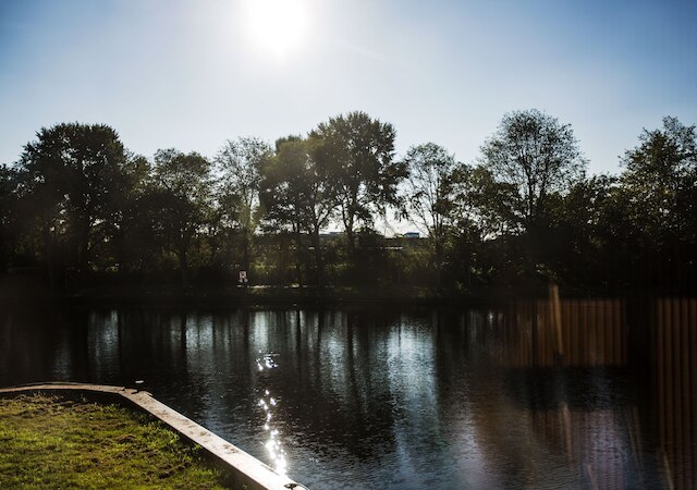 スイーツ - バックスロータードラブルッフ