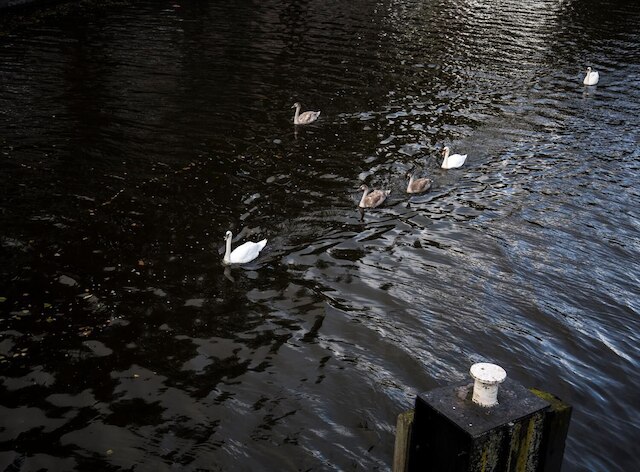 スイーツ - カッテンスルートブルッフ