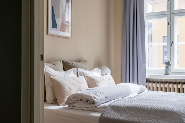 スカンジナビアン アパートメンツ フレドリキンカトゥ