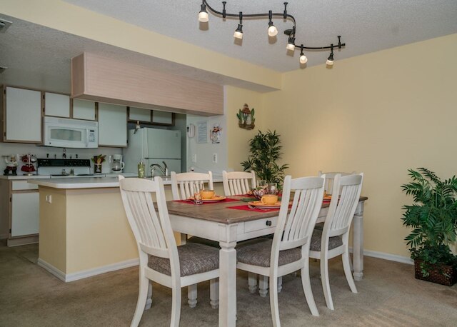 ロイヤル _ パーム _ ベイ _ 99