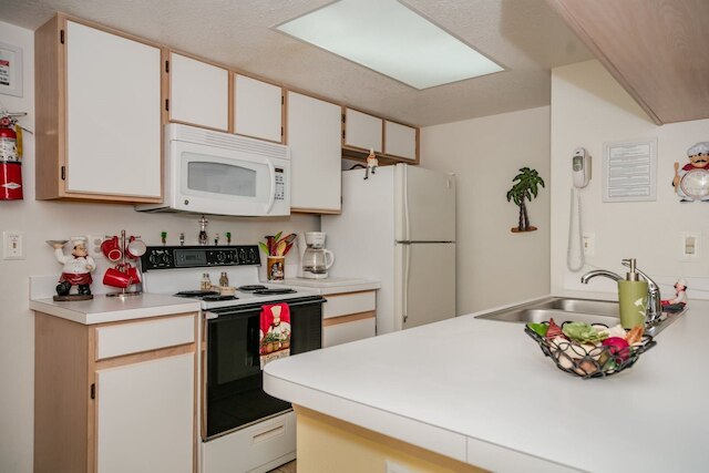 ロイヤル _ パーム _ ベイ _ 99