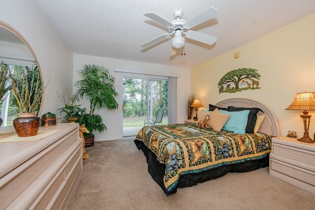 ロイヤル _ パーム _ ベイ _ 99