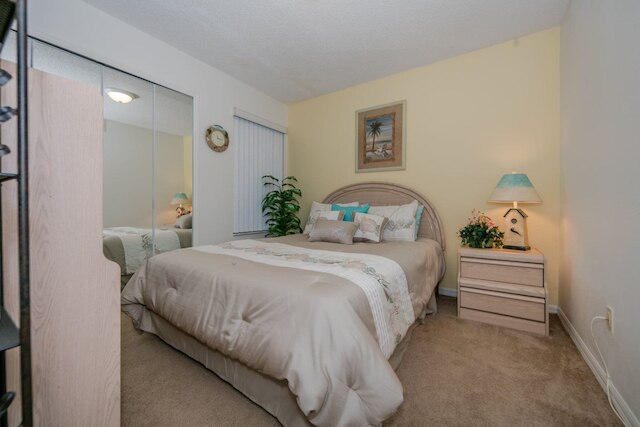 ロイヤル _ パーム _ ベイ _ 99