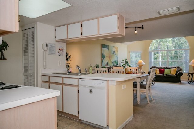 ロイヤル _ パーム _ ベイ _ 99