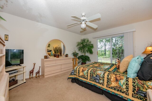 ロイヤル _ パーム _ ベイ _ 99