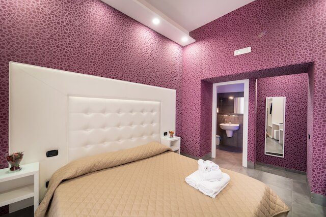 ロイヤル アート H スパッカナポリ バイ ClaPa グループ ディスロケイテッド ホスピタリティ