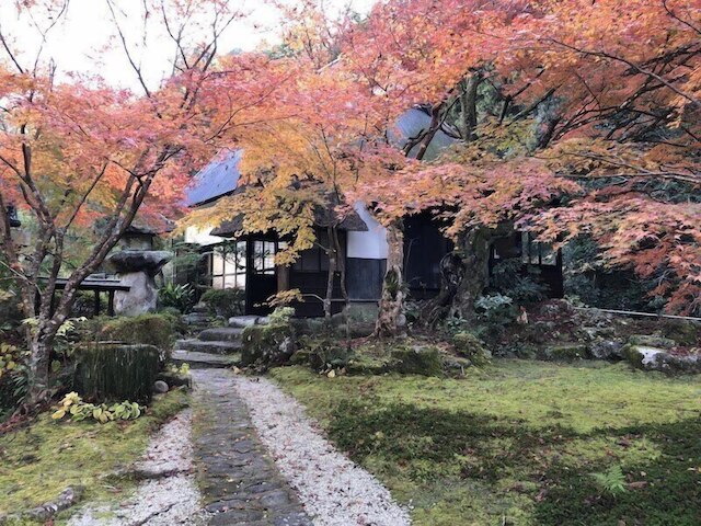 ウッド デザイン パーク - キャンプ場