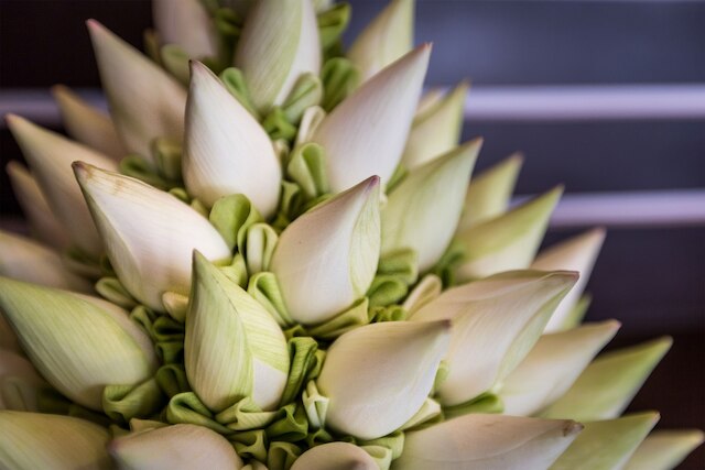 デ サラン ヴィラ