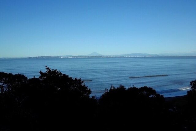 ささやかなおうち笹毛