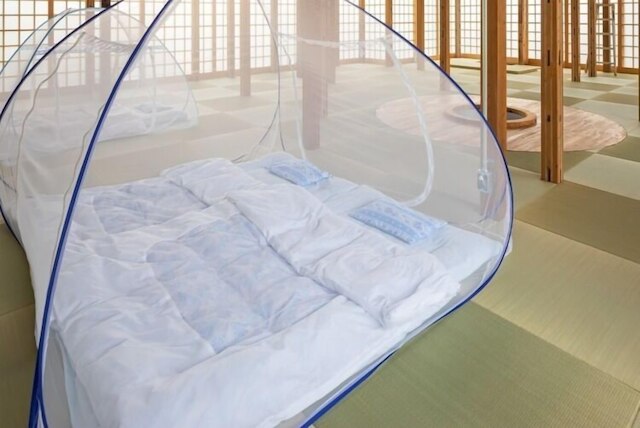 ささやかな宿富津