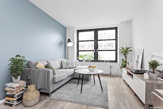 ステイプラス スタジオ ニア ヒップスター エリア