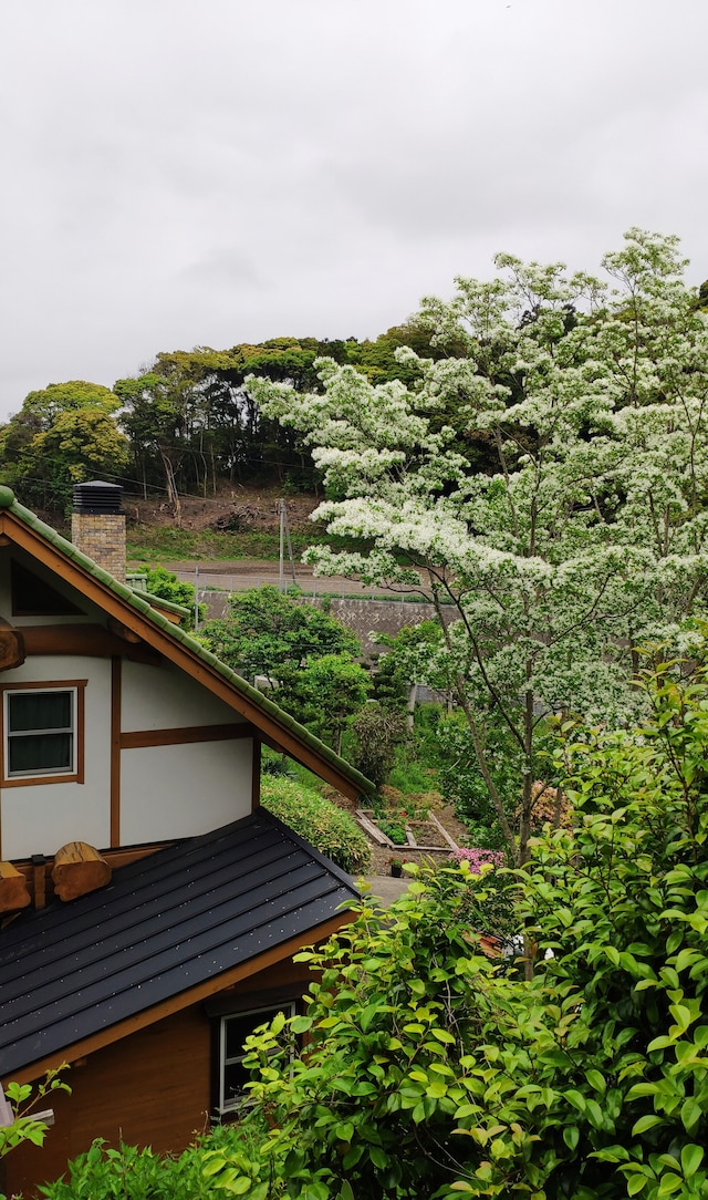 しまのログハウス