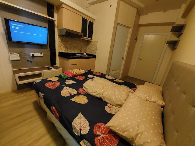 グリーン プラムカ アパートメント、ヴィチ