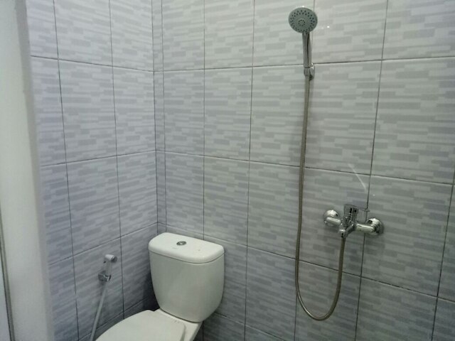 グリーン ベルト コスト エクスクルーシブ