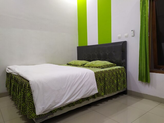 グリーン ベルト コスト エクスクルーシブ