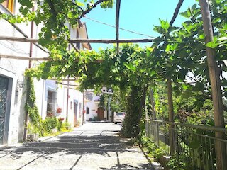 アグリツーリズモ II カスターニョ