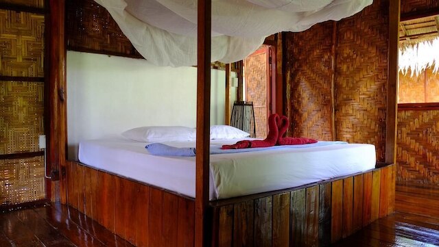 アンダマン サンフラワー