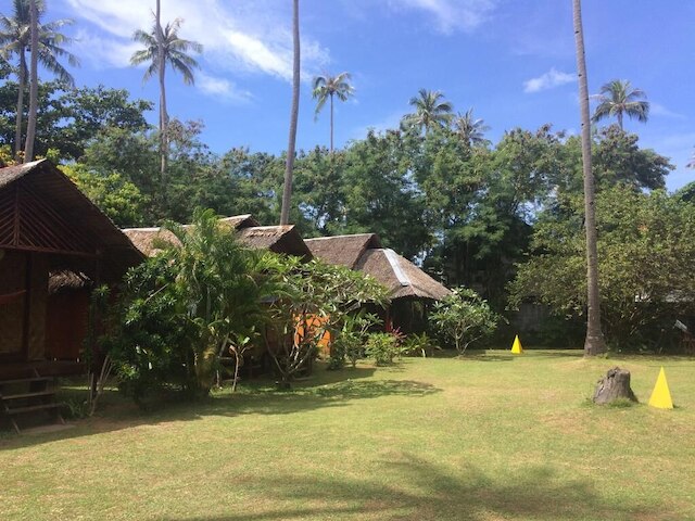 アンダマン サンフラワー