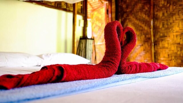 アンダマン サンフラワー