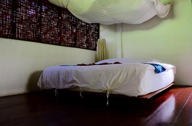 アンダマン サンフラワー