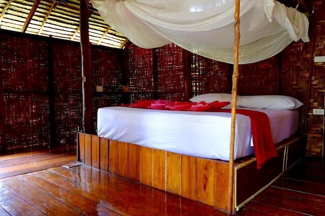 アンダマン サンフラワー