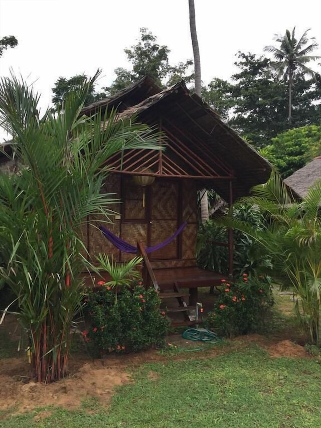 アンダマン サンフラワー