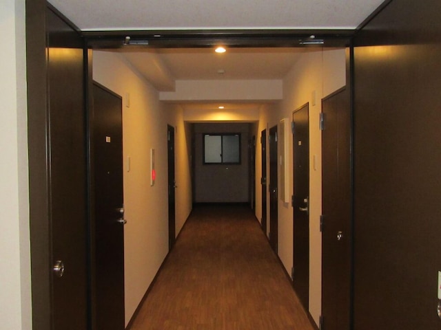 奄美ラッキーライフ1