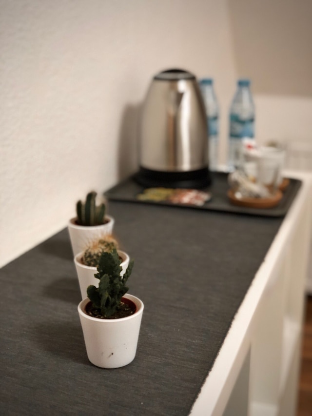 カイザー ホームステイ