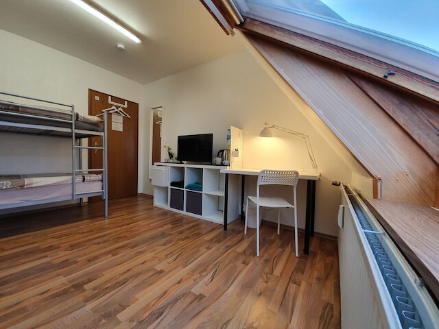 カイザー ホームステイ