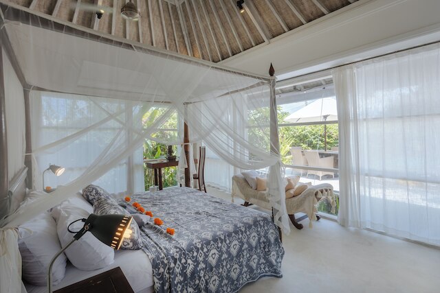 ウマ ヴェルヴァナ