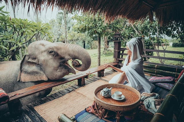 チャイ ライ マウンテン