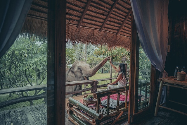 チャイ ライ マウンテン