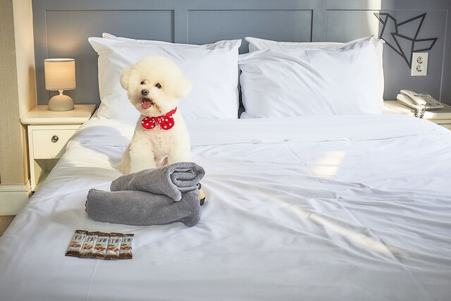 ホテル POCO ソンス