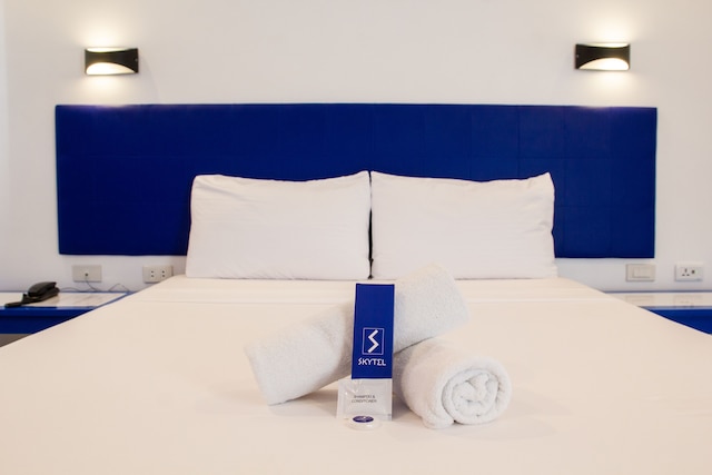 スカイテル パラワン