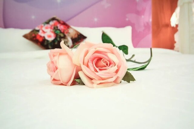 ベイ ユエ B&B (貝悅民宿)