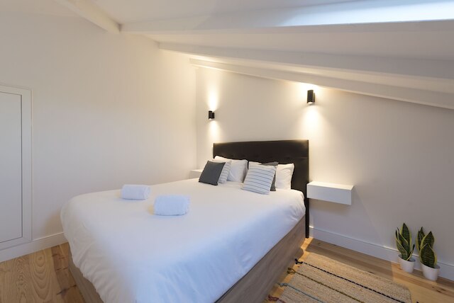 ザ ブルー パロット