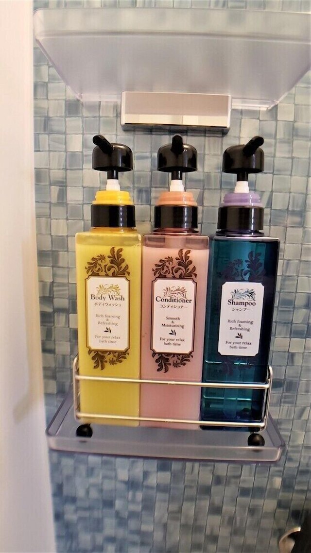 オーシャンビュー アラハ 202 号室